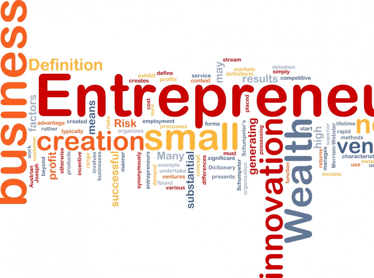 Local Development and Entrepreneurship, the Role of Self-government Organisations